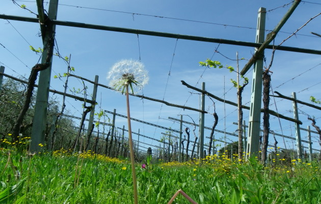 L’inizio di un’avventura