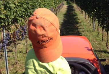 #vintage2016