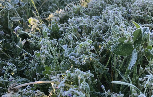 Autunno…Inverno…e poi ancora Autunno….18/04/2017